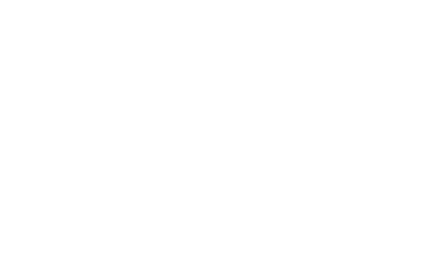 Charities Institute Ireland Tripple Lock Member